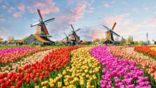 Hollandia