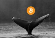 Bitcoin bálna