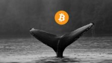 Bitcoin bálna