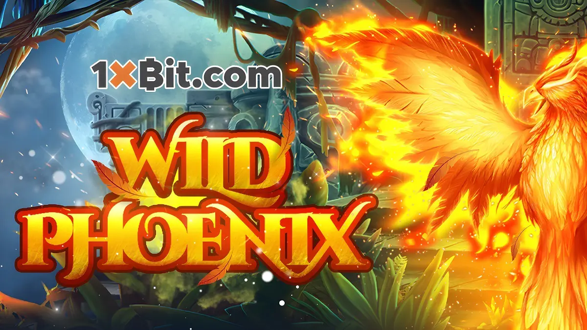 1xBit főnix
