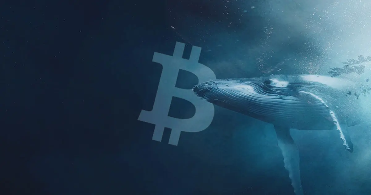 BTC-bálna