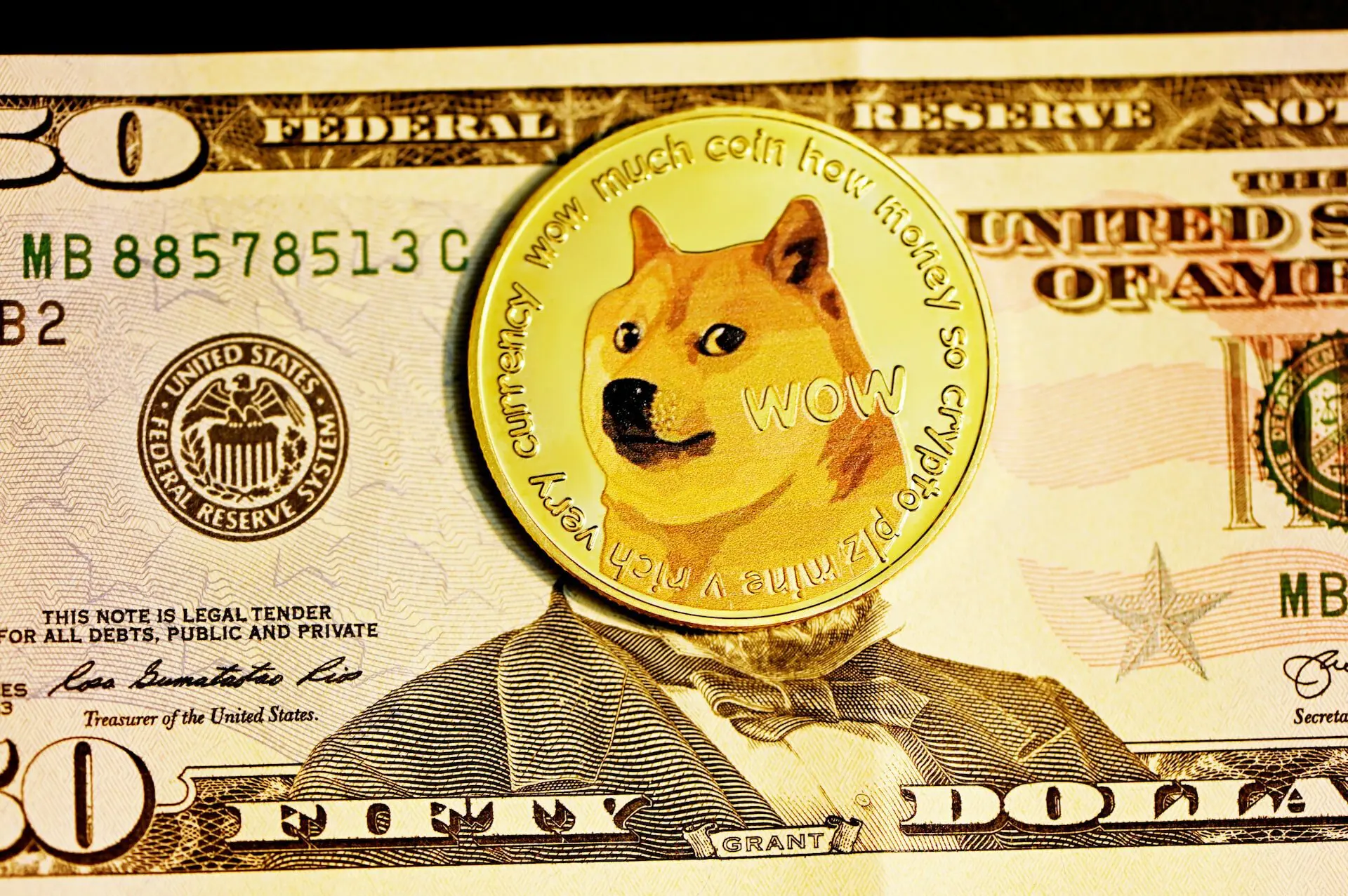 dogecoin vagy tamadoge