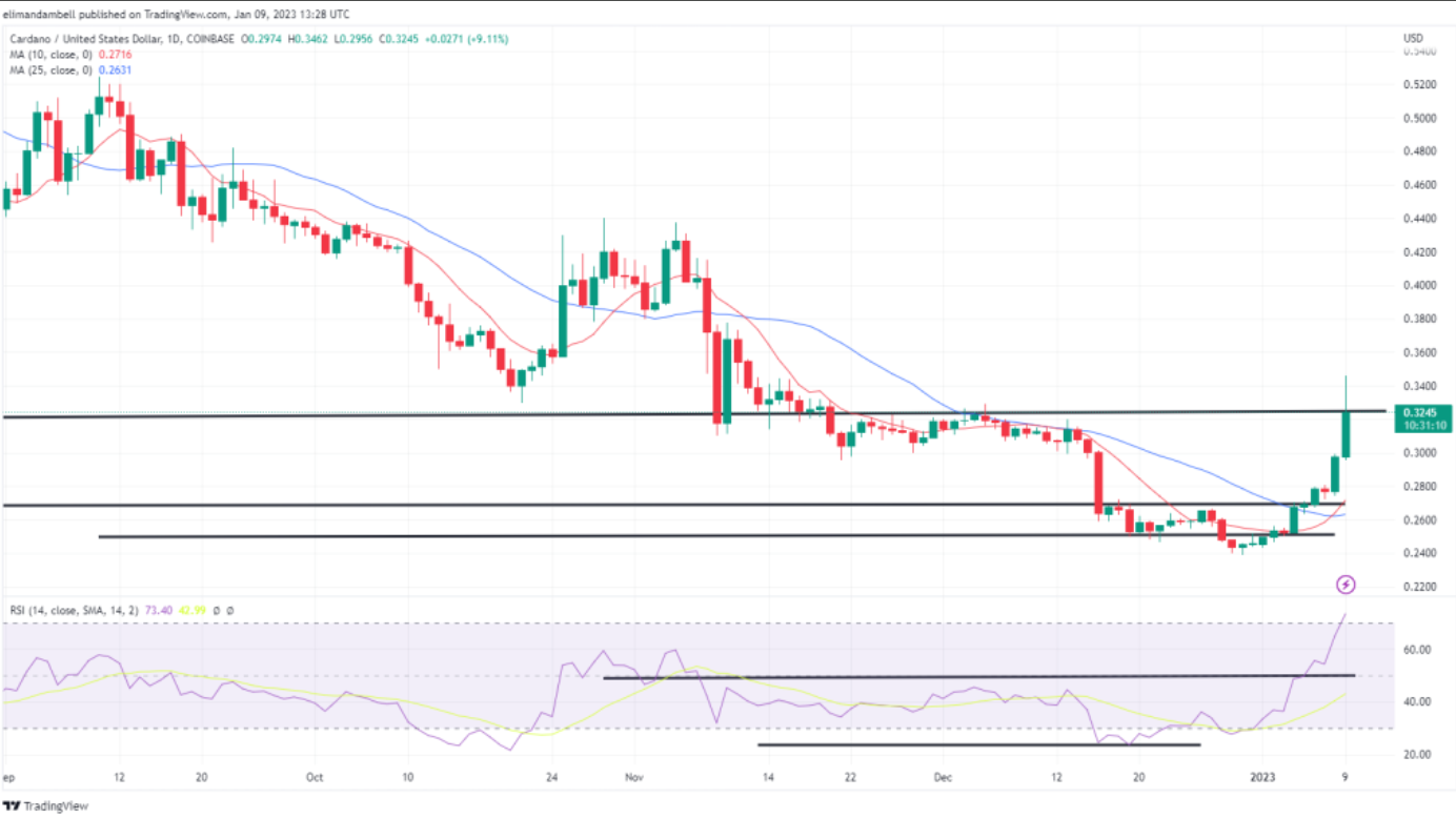 Cardano