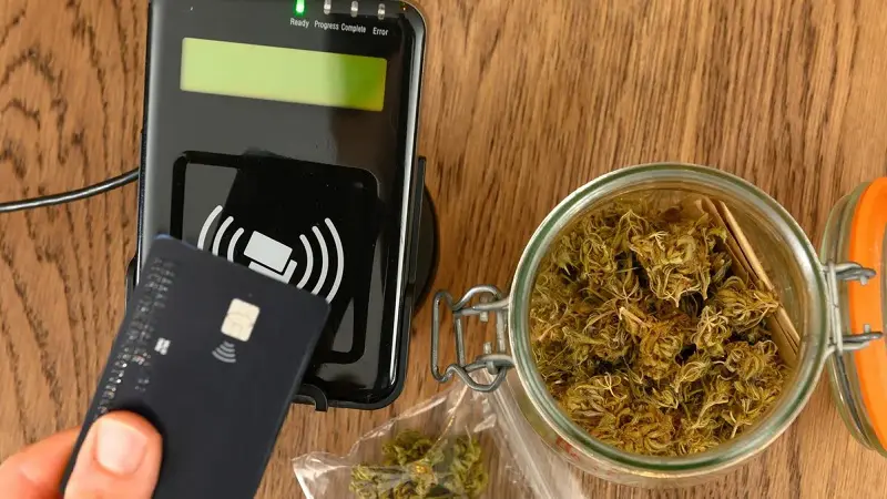 Mastercard kannabisz vásárlás