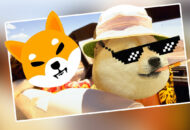 Shiba Inu, Dogecoin