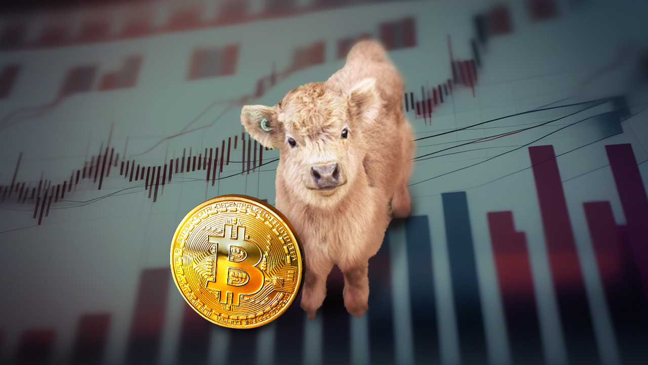 Ezek az altcoinok az elemzők szerint a Bitcoint is túlszárnyalhatják
