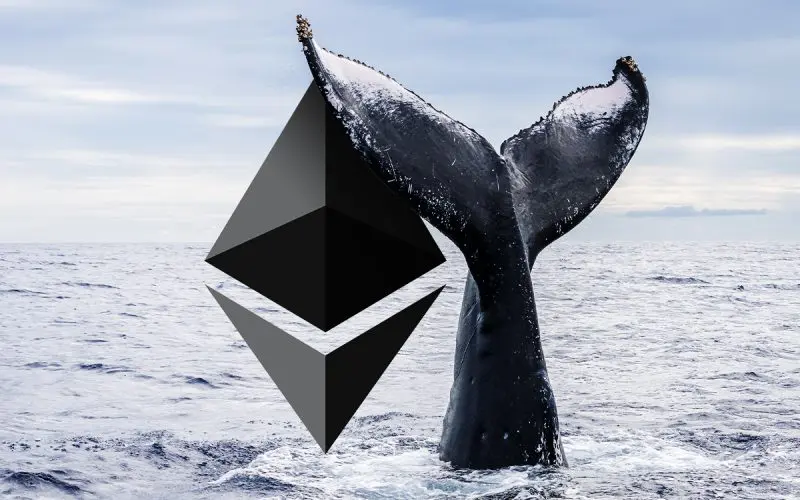 Ethereum bálna borítókép