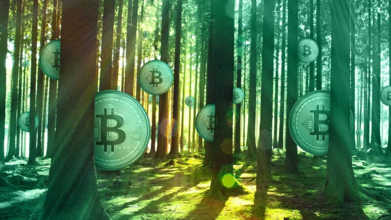 bitcoin bányászat