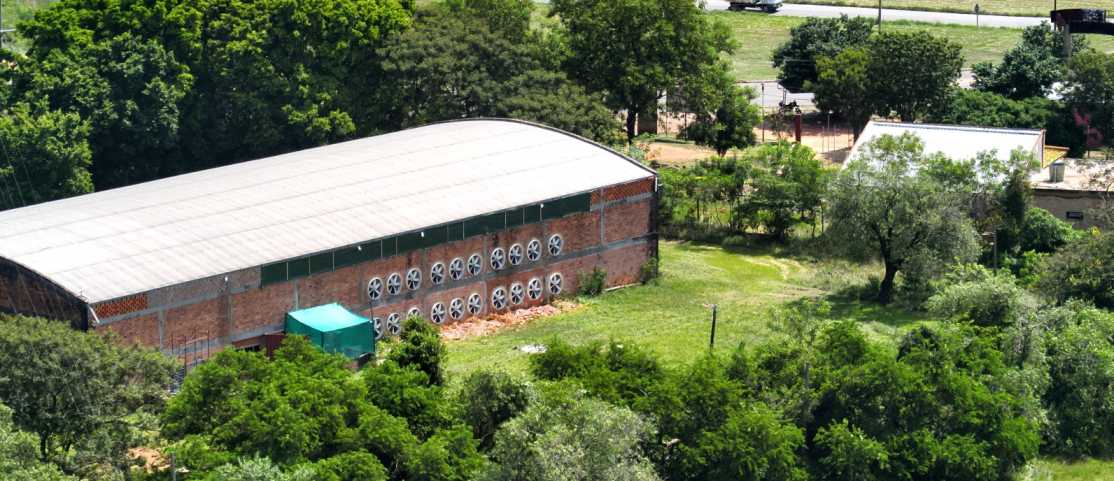 paraguayi bányászfarm