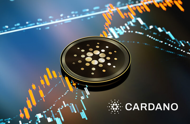 Nő a Cardano tárcák száma, ígéretes évnek nézünk elébe