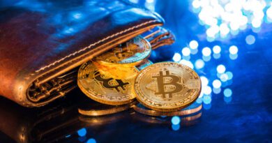 Pénzmosás vádjával letartóztatták a népszerű bitcoin-tárca alapítóit