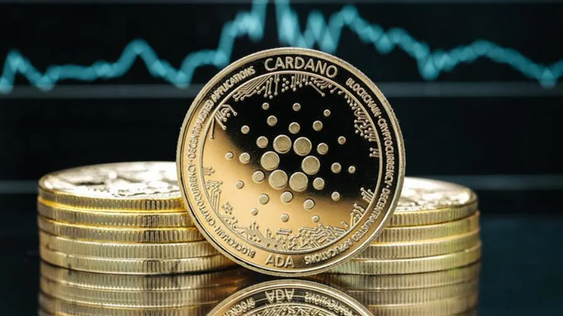 A Cardano egyre bővülő tartalékai fellendülést sejtetnek