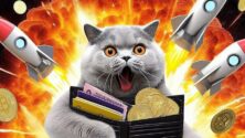 meme-coin-crypto-wallet-tongue-cat-token-luis-900x629