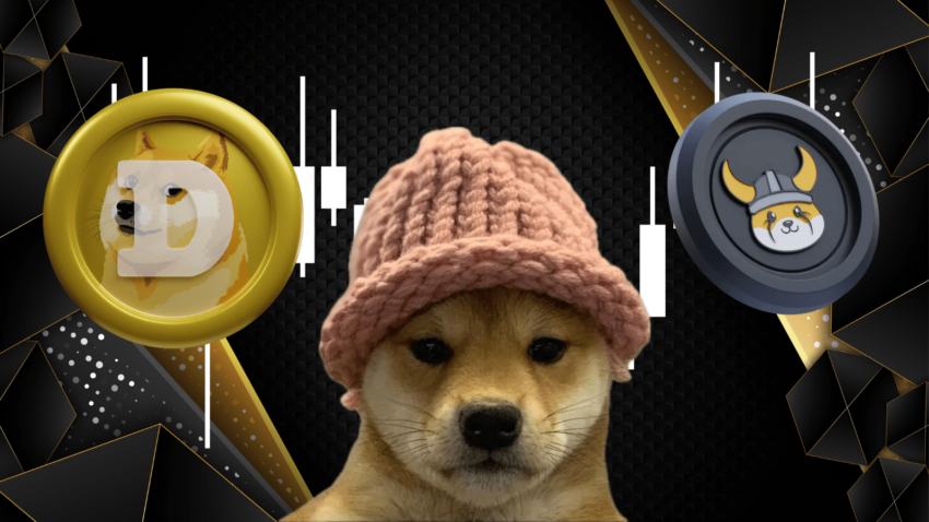 dogecoin, shib, WIF, RCOF, RCO Finance, előértékesítés, token, kereskedő, befektetők,