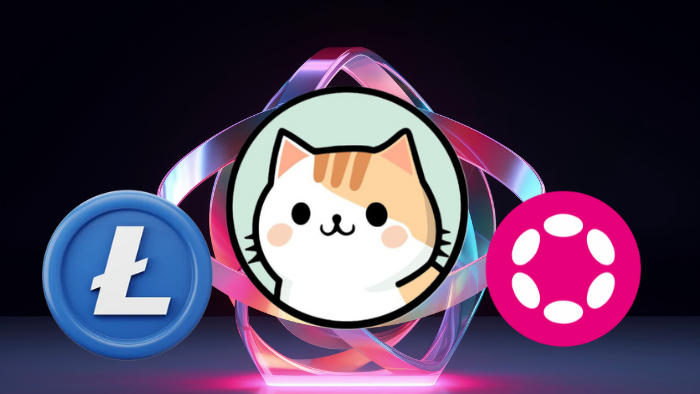 ZDEX
