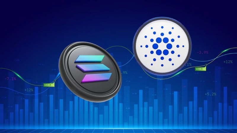 Cardano