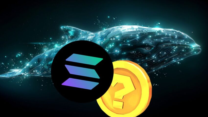 xyz, mém projekt, solana, előértékesités, hatalmas profit, legjobb befektetés, kripto befektetés, befektető, xyz, xyzverse