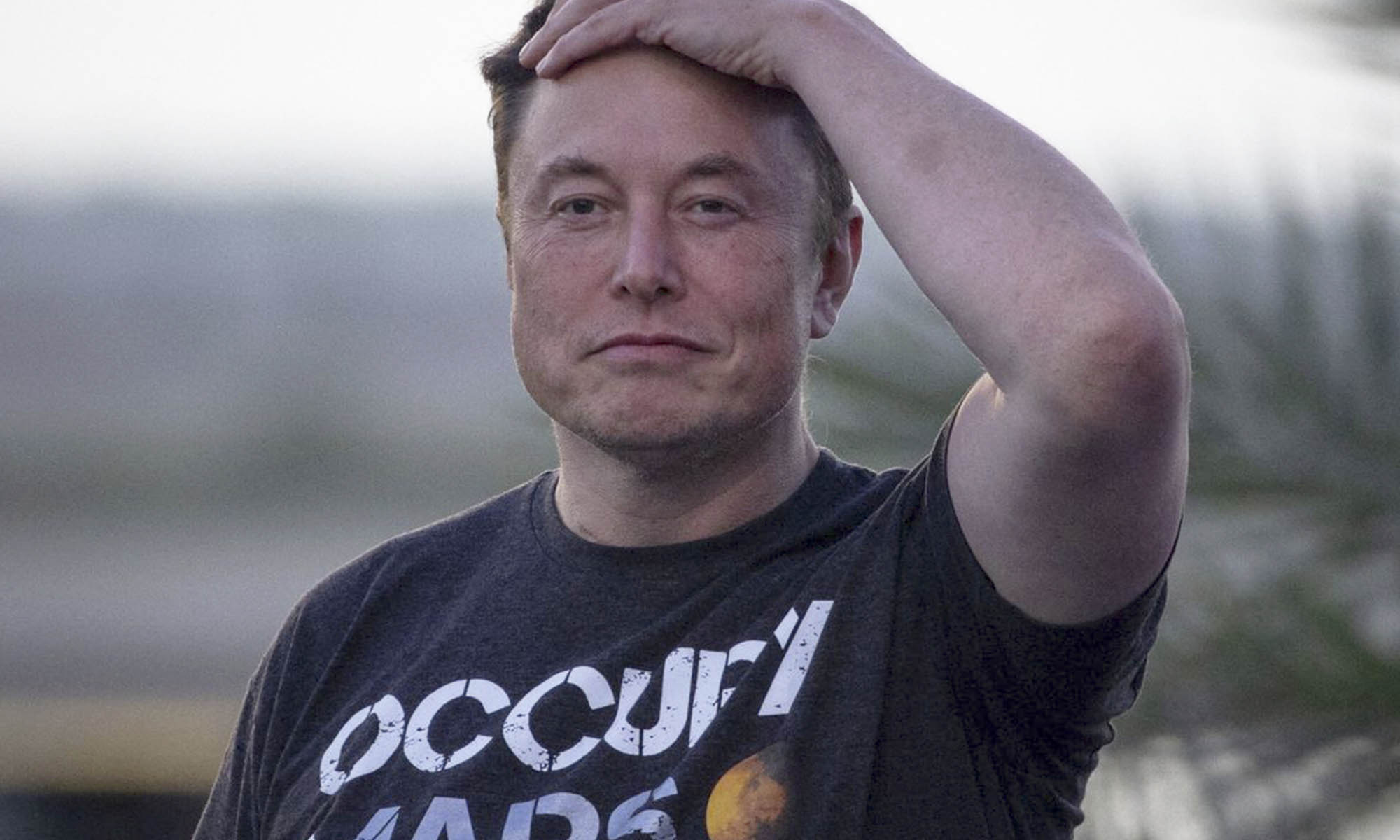 Elon Musk Donald Trump