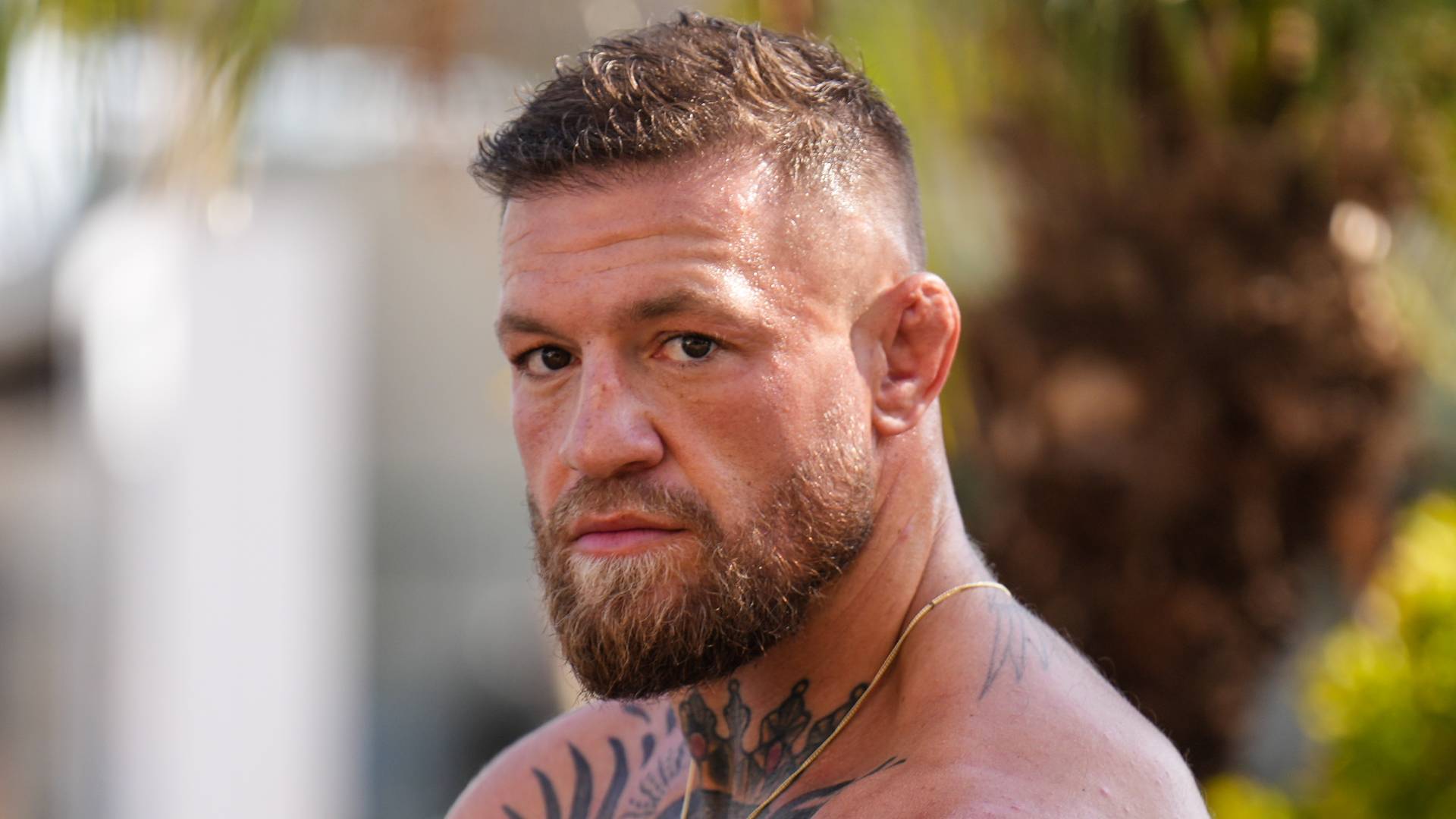 Conor McGregor Bitcoin