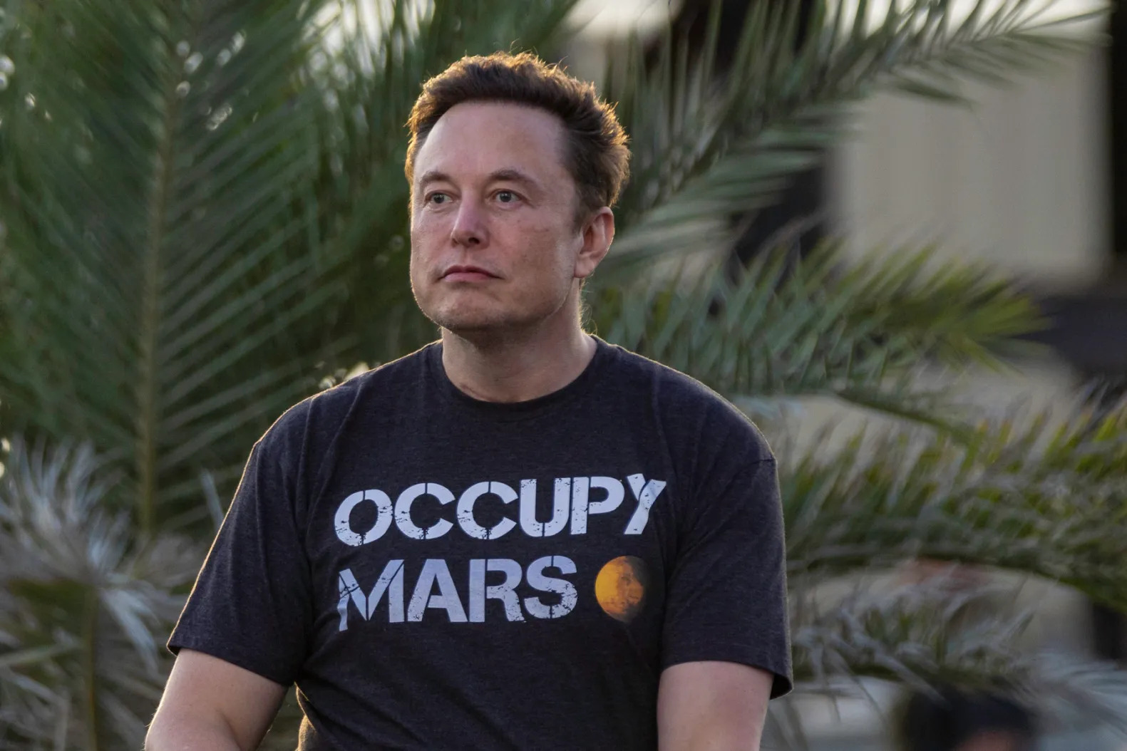 Elon Musk Mars kolonizálás