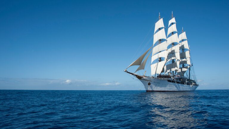 Új telefonos alkalmazást indít az OpenSea Új telefonos alkalmazást indít az OpenSea