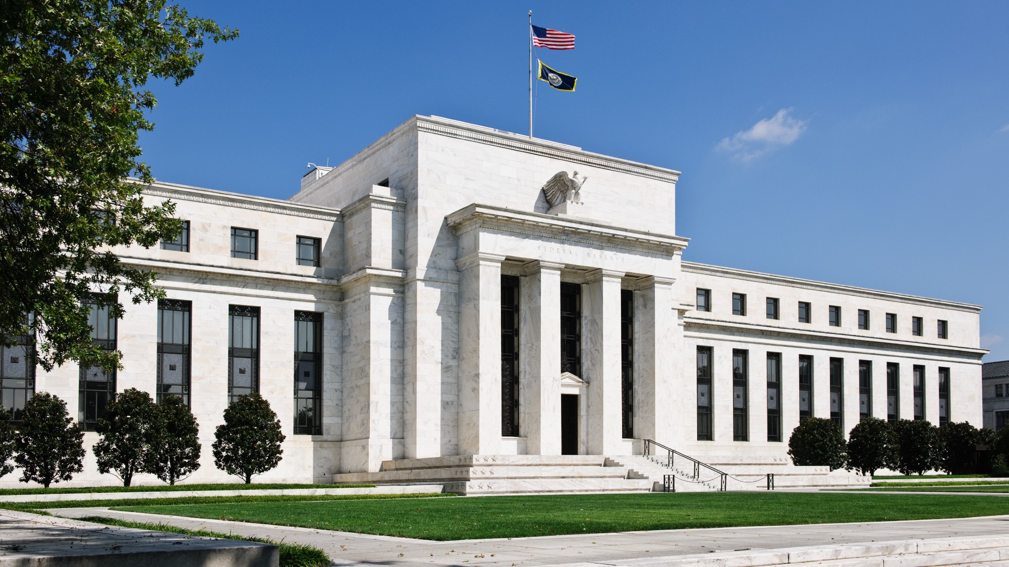 Fed kormányzó