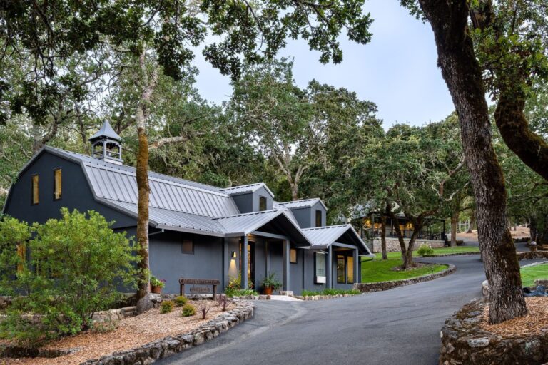 Az XRP sötét múltja – a Ripple vezérek vagyonának nyomában Az XRP sötét múltja – a Ripple vezérek vagyonának nyomában