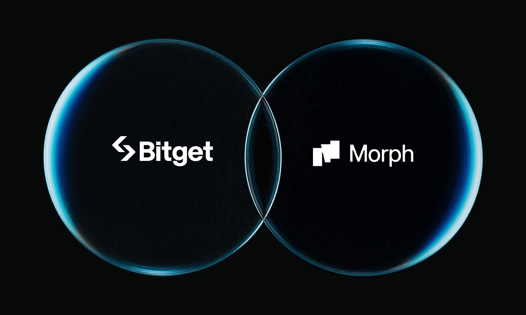 BGB token
