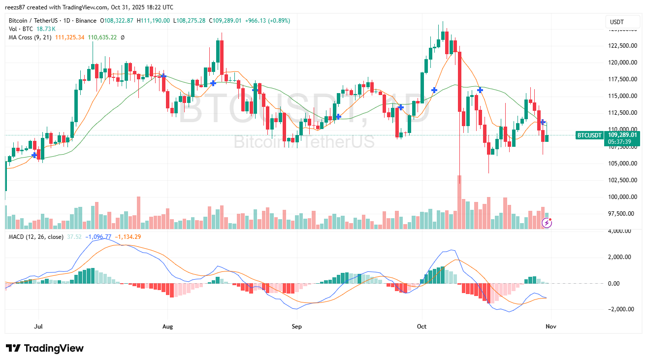 Bitcoin árfolyam napi grafikon