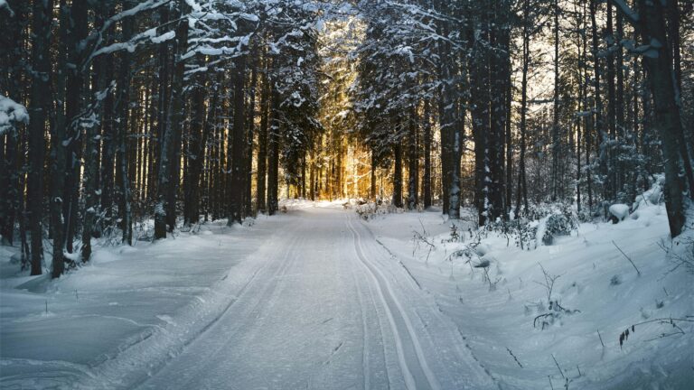 Eljött a negyedik fordulat? A történelem ismétli önmagát, és magával hozza a válságot is