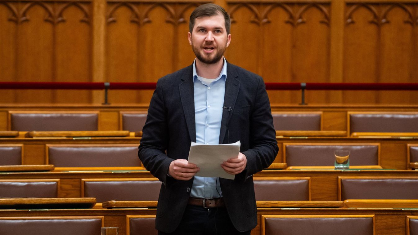 Gelencsér Ferenc - Momentum