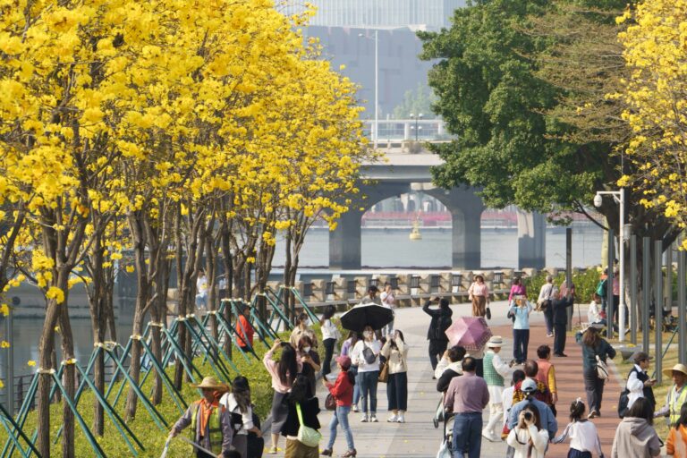 50%-ot esett a Bitcoin–arany arány 2025-ben: nem sok jóra számíthatnak a befektetők 2026-ban