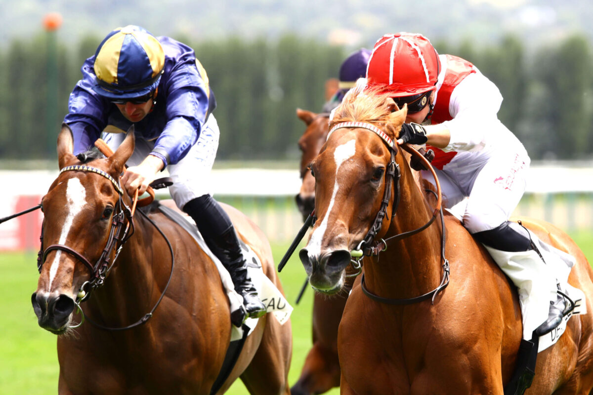 pesszimista dollárral