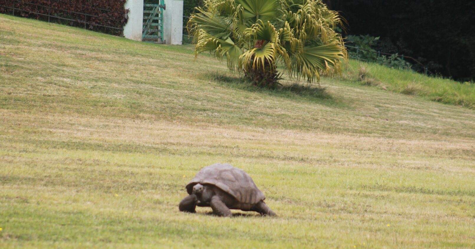 Végre fellép a kriptós csalások ellen az X platformja