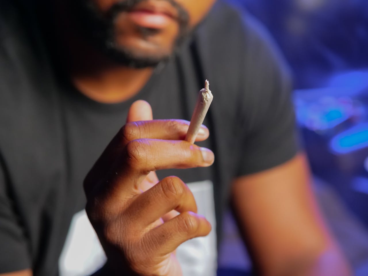 A Dash és a kannabiszipar