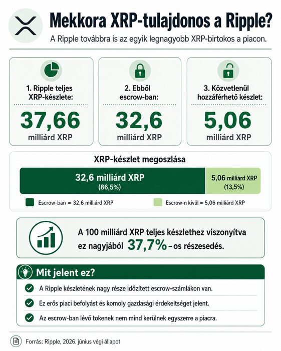 ripple xrp tulajdon