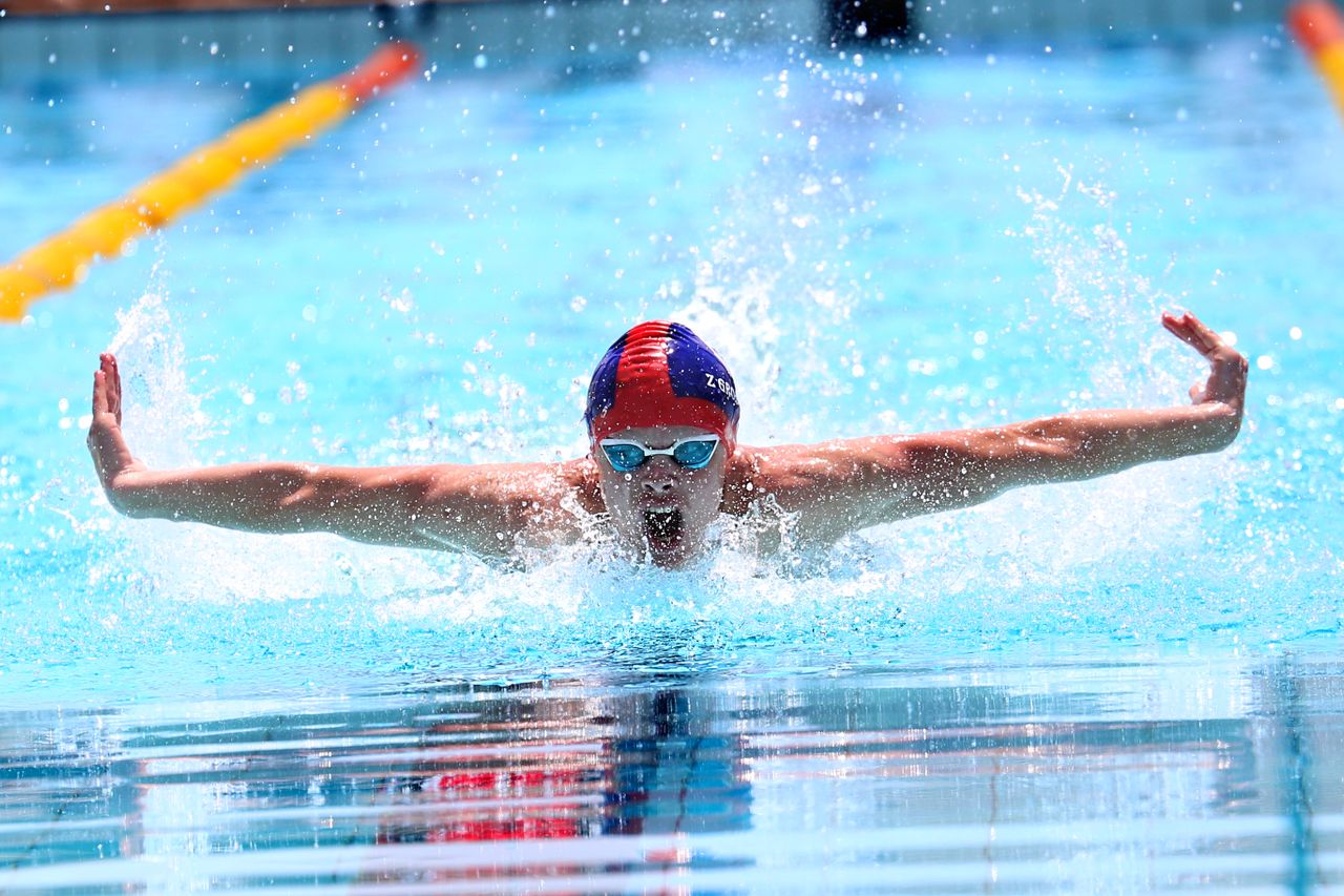 95K butterfly opció